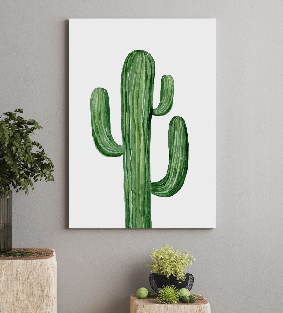 Green cactus on a white background Green cactus on a white background