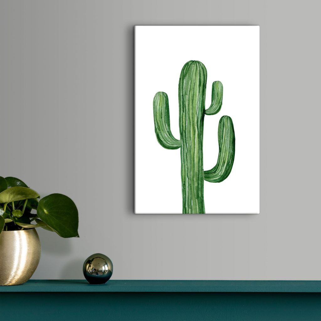 Green cactus on a white background Green cactus on a white background