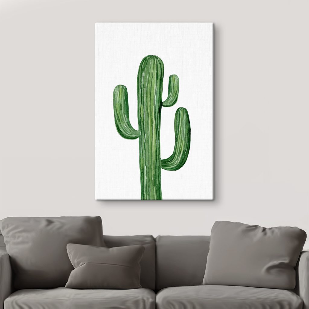 Green cactus on a white background Green cactus on a white background