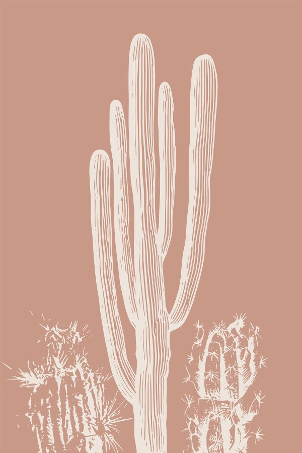 Cactus with white lines Cactus with white lines