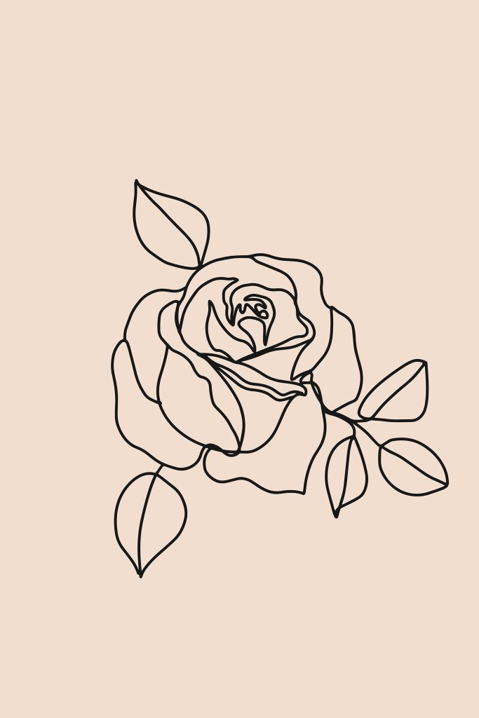 Drawing of a rose