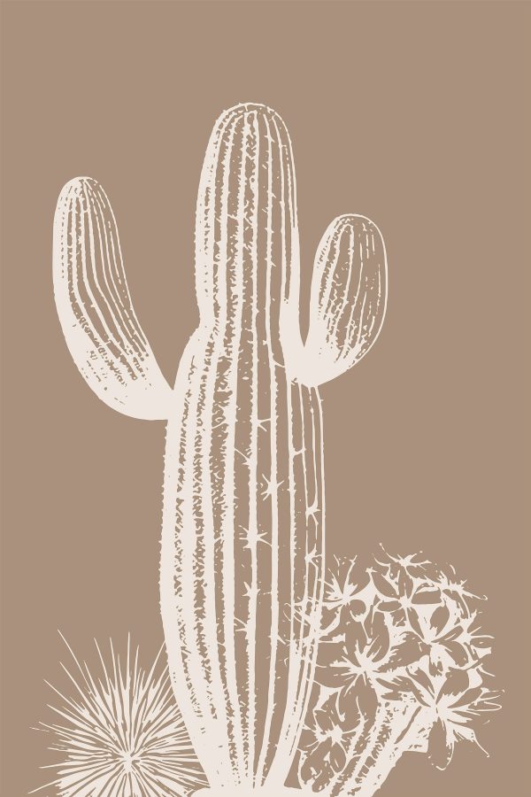 Cactus with thorns and flowers Cactus with thorns and flowers