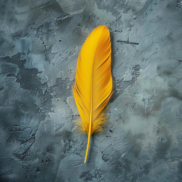 Yellow feather on a grey surface