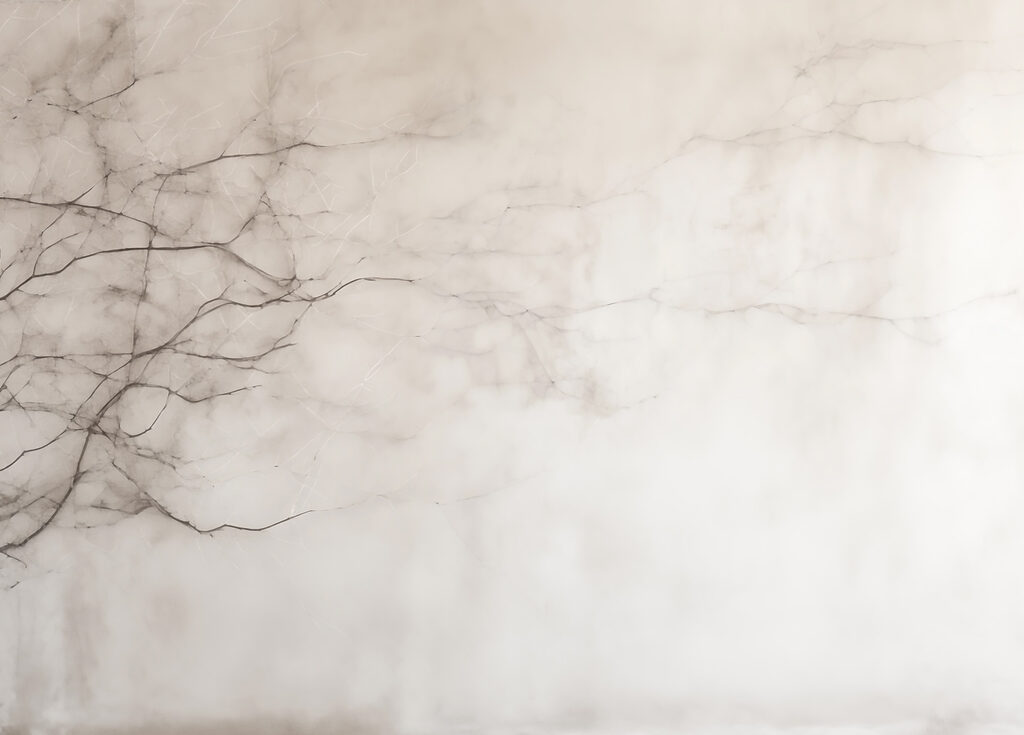 Tree branch with no leaves