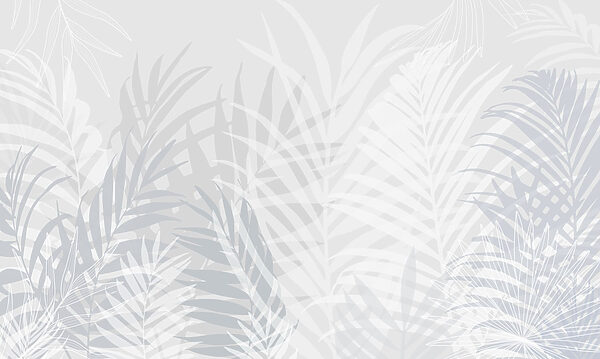 Fondo gris y blanco con hojas Fondo gris y blanco con hojas