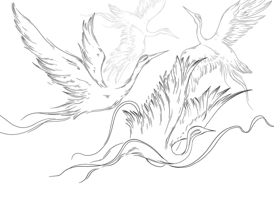Dibujo de pájaros volando