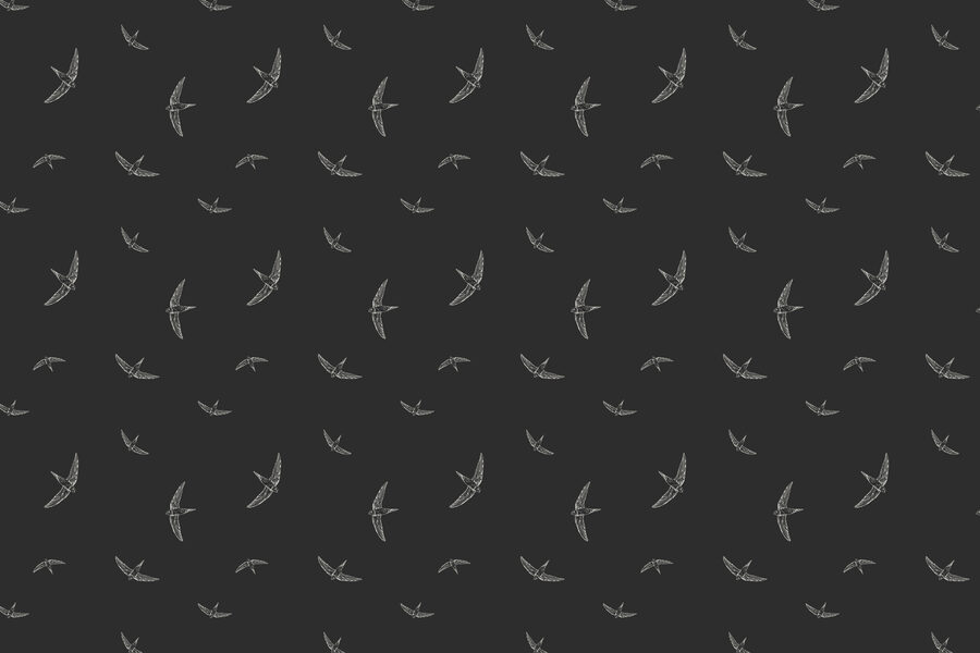 Patrón de pájaros blancos sobre fondo negro