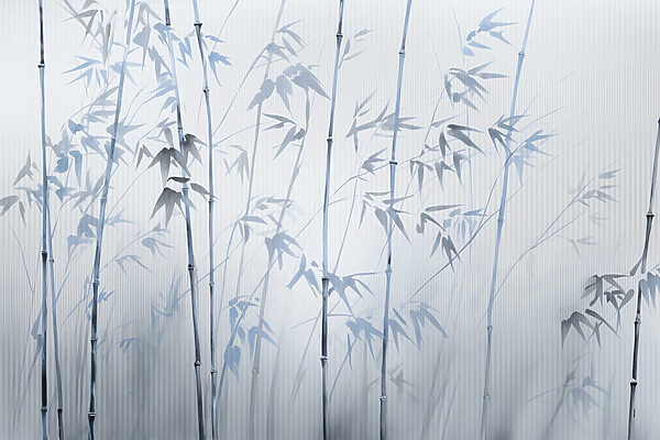 Gentle bamboo silhouettes in soft hues Gentle bamboo silhouettes in soft hues