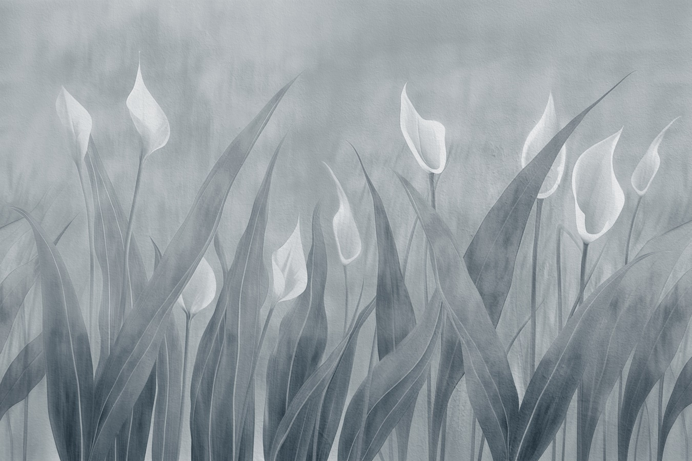 Soft petals in a tranquil landscape Soft petals in a tranquil landscape