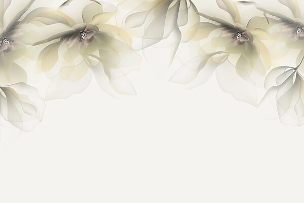 Flores blancas y beige Flores blancas y beige