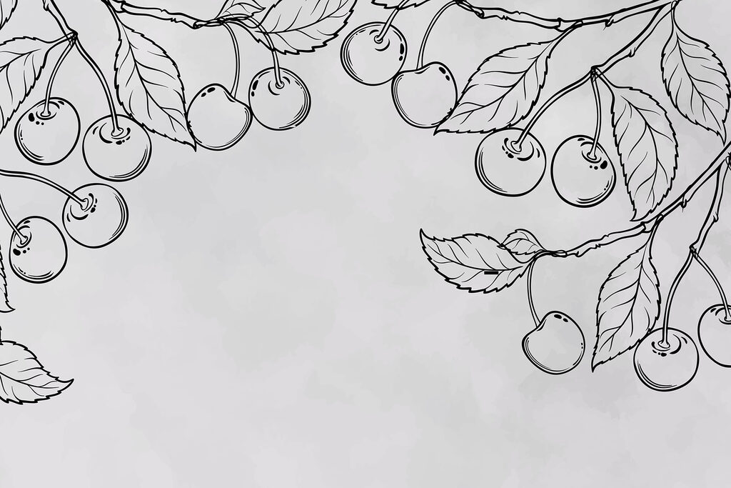 Dibujo de cerezas en una rama Dibujo de cerezas en una rama