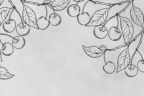 Dibujo de cerezas en una rama Dibujo de cerezas en una rama