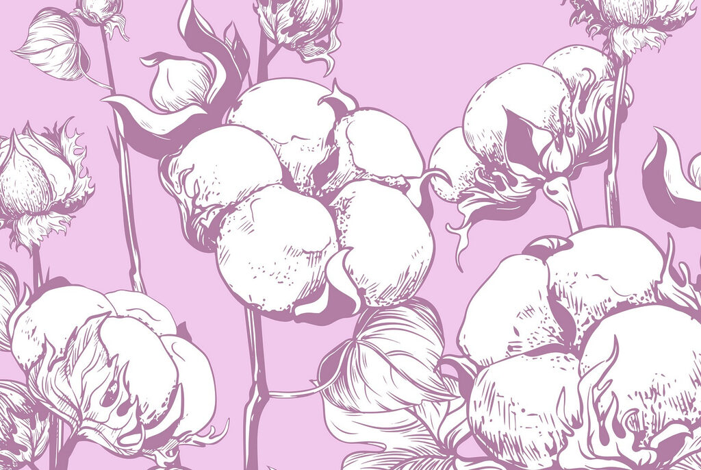 Flores de algodón sobre un fondo suave Flores de algodón sobre un fondo suave