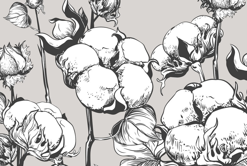 w02097v3p 1024x688 - – Delicadas flores de algodón en monocromo