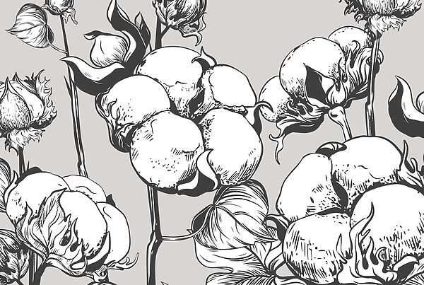 – Delicadas flores de algodón en monocromo w02097v3p 600x403 - – Delicadas flores de algodón en monocromo