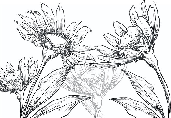 Dibujo de flores con hojas Dibujo de flores con hojas