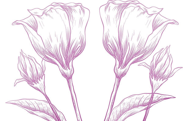Delicadas flores en suaves tonos pastel Delicadas flores en suaves tonos pastel