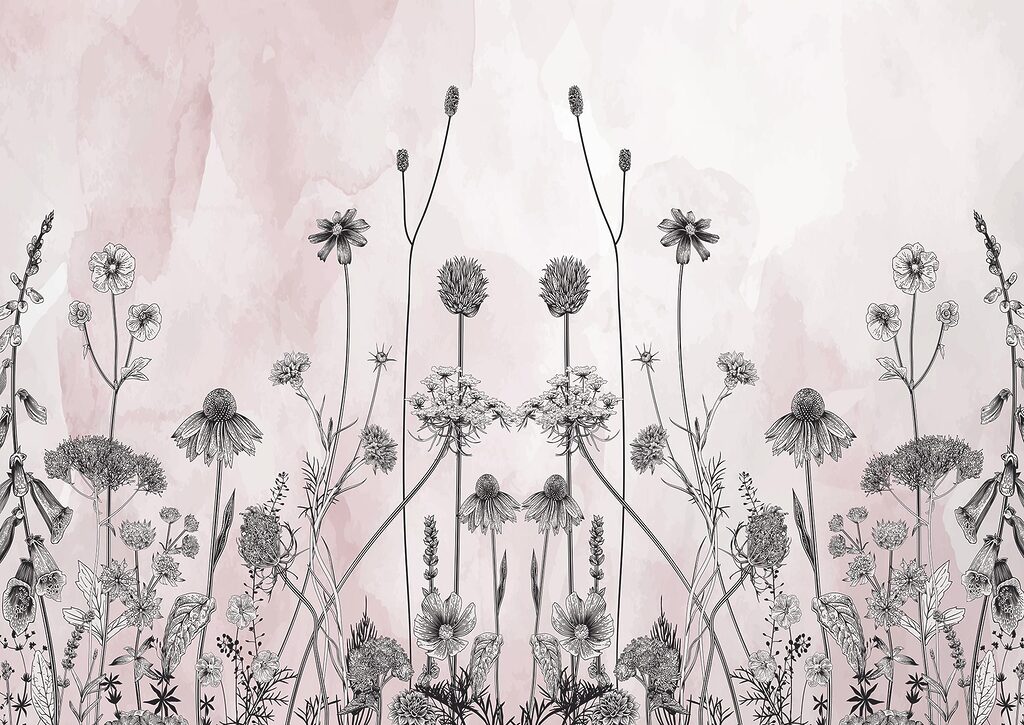 Dibujo de flores y plantas Dibujo de flores y plantas