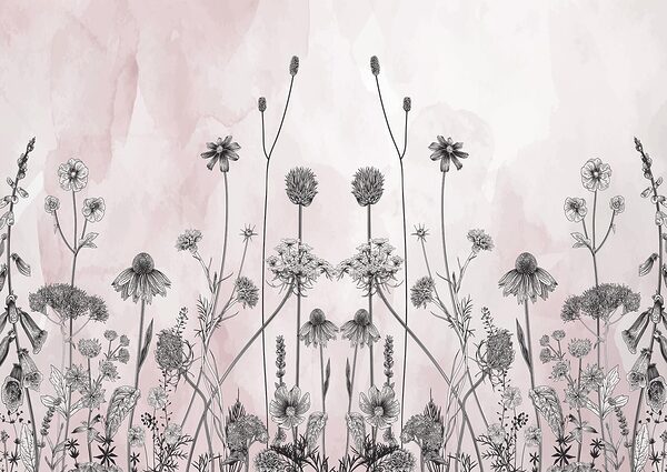 Dibujo de flores y plantas Dibujo de flores y plantas