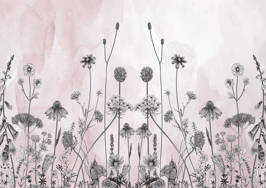 Dibujo de flores y plantas Dibujo de flores y plantas