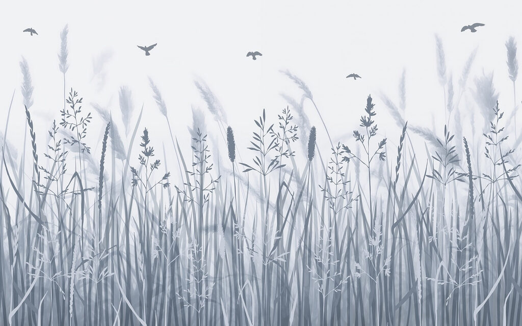 Field of grass with birds flying