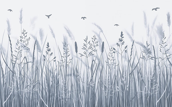 Field of grass with birds flying