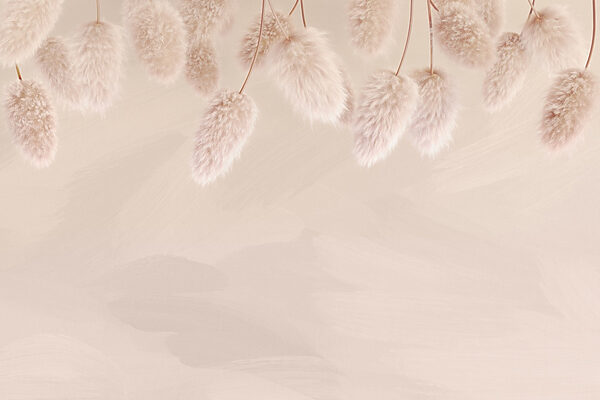 Group of fluffy flowers Group of fluffy flowers