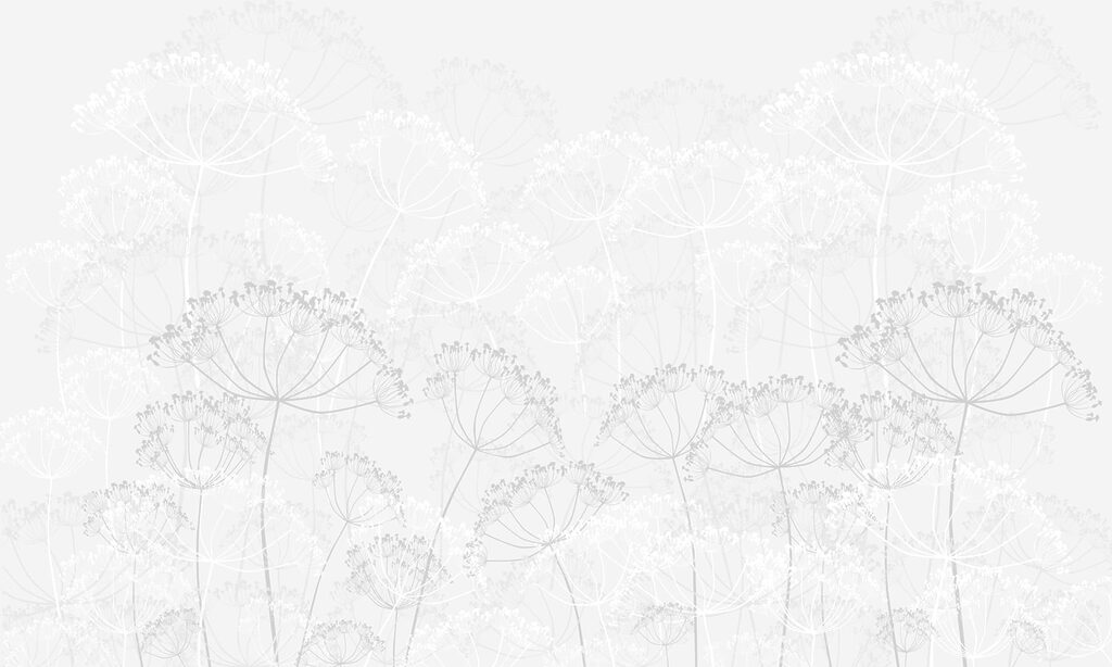 Estampado de flores blancas Estampado de flores blancas
