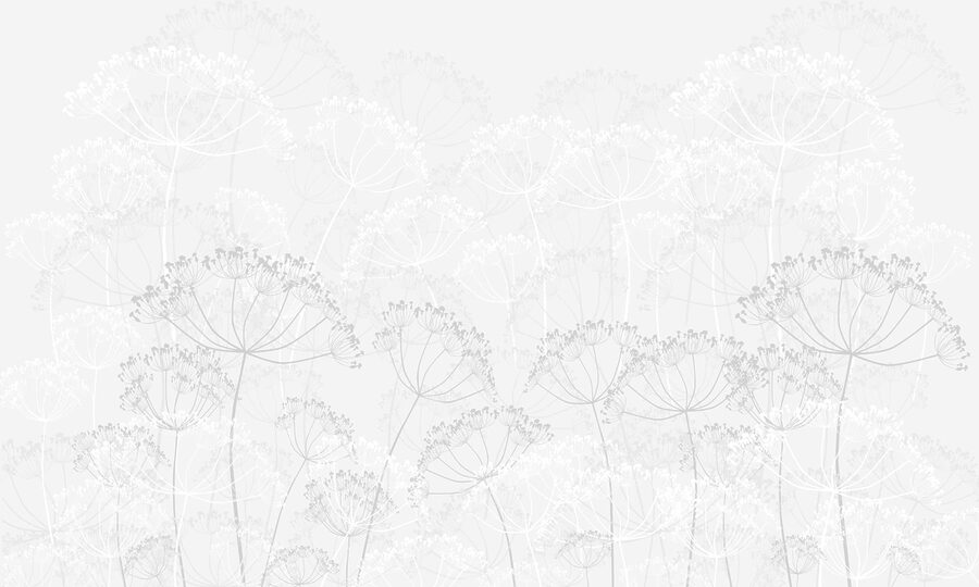Estampado de flores blancas Estampado de flores blancas