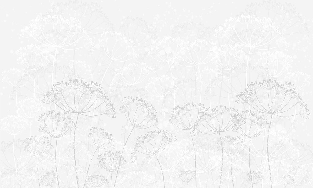 White background with flowers