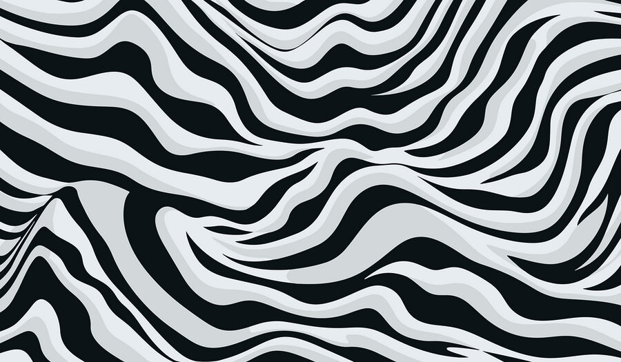 Fotomurales Estampado de rayas blancas y negras - Imagen 4