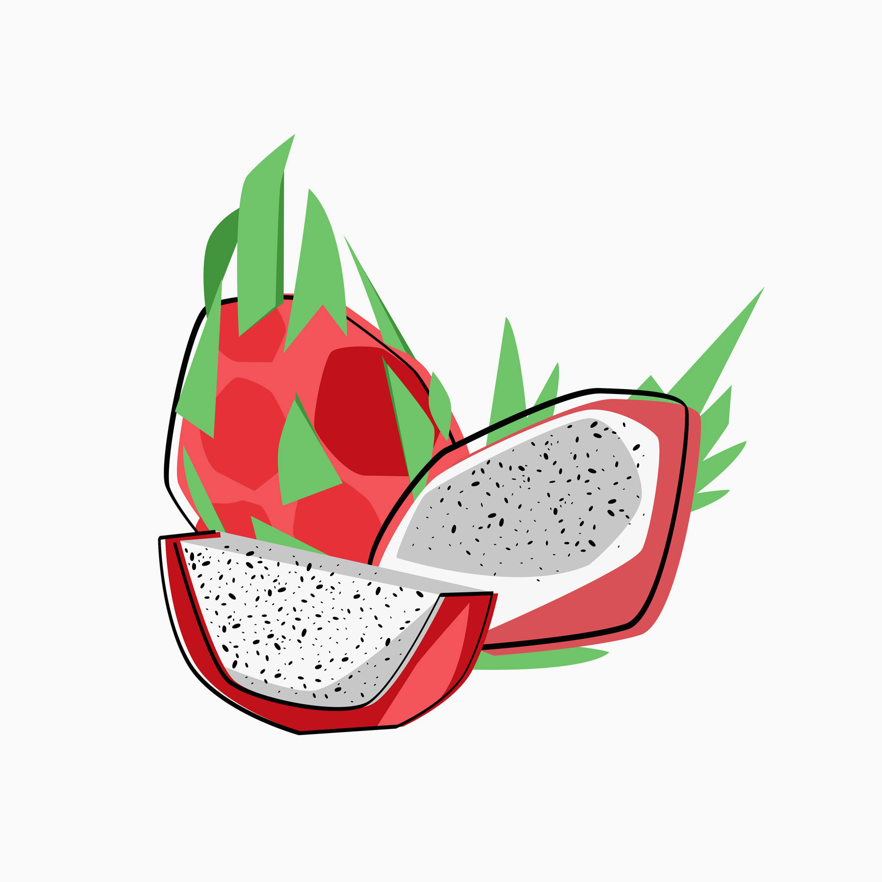 Drawing of a dragon fruit