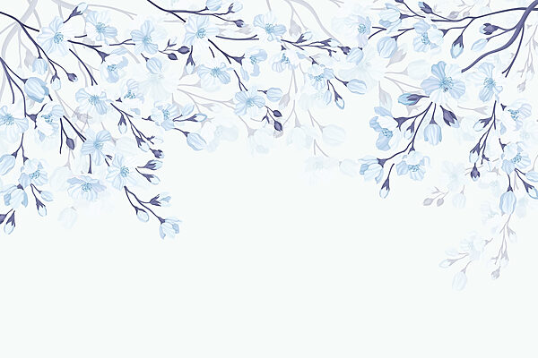 Flores blancas y azules sobre fondo blanco Flores blancas y azules sobre fondo blanco