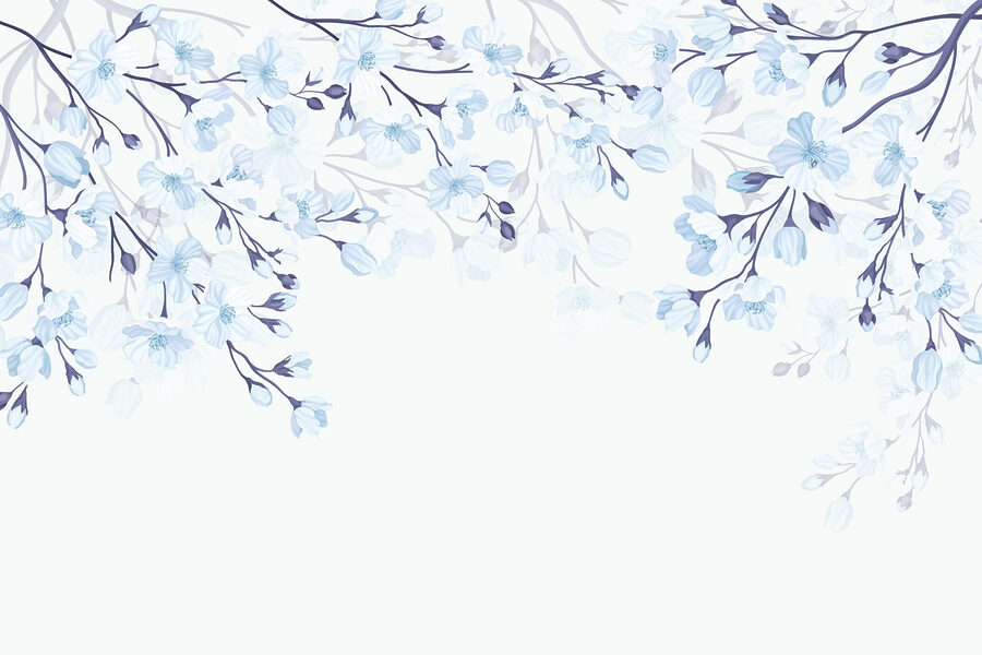 Flores blancas y azules sobre fondo blanco
