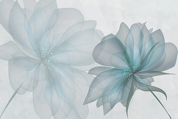 Pareja de flores transparentes Pareja de flores transparentes