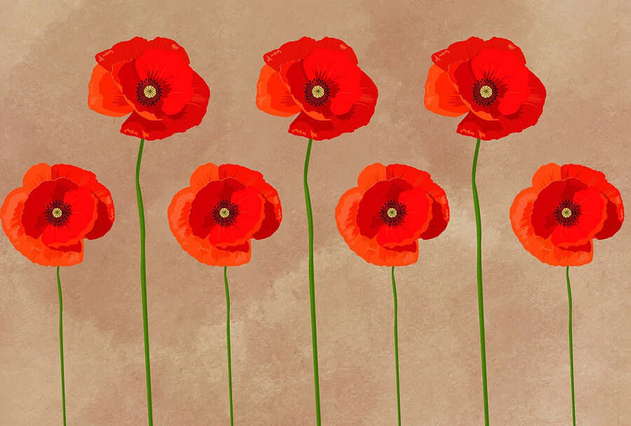 Grupo de flores rojas