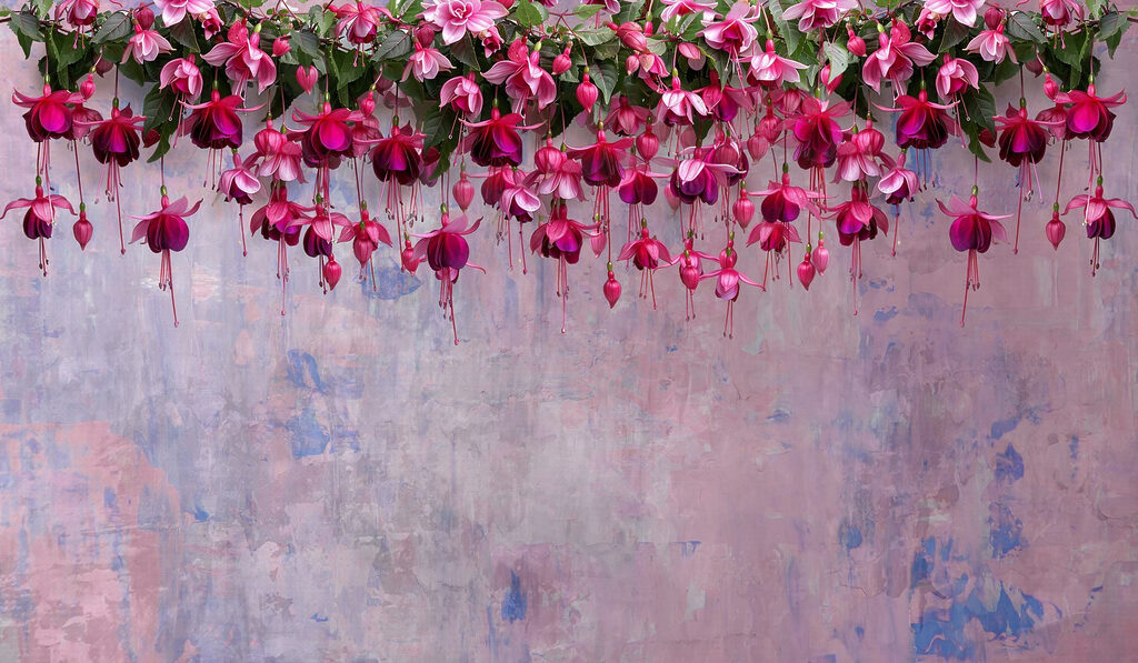 Group of pink flowers