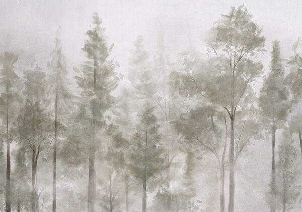 Grupo de árboles en la niebla Grupo de árboles en la niebla