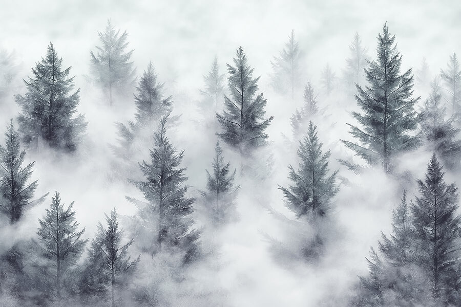 Grupo de árboles en la niebla