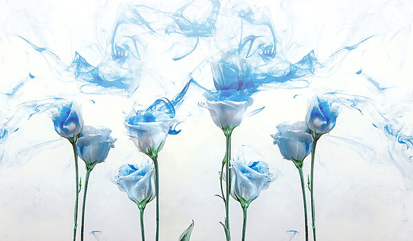 Grupo de flores con tinta azul en el agua Grupo de flores con tinta azul en el agua