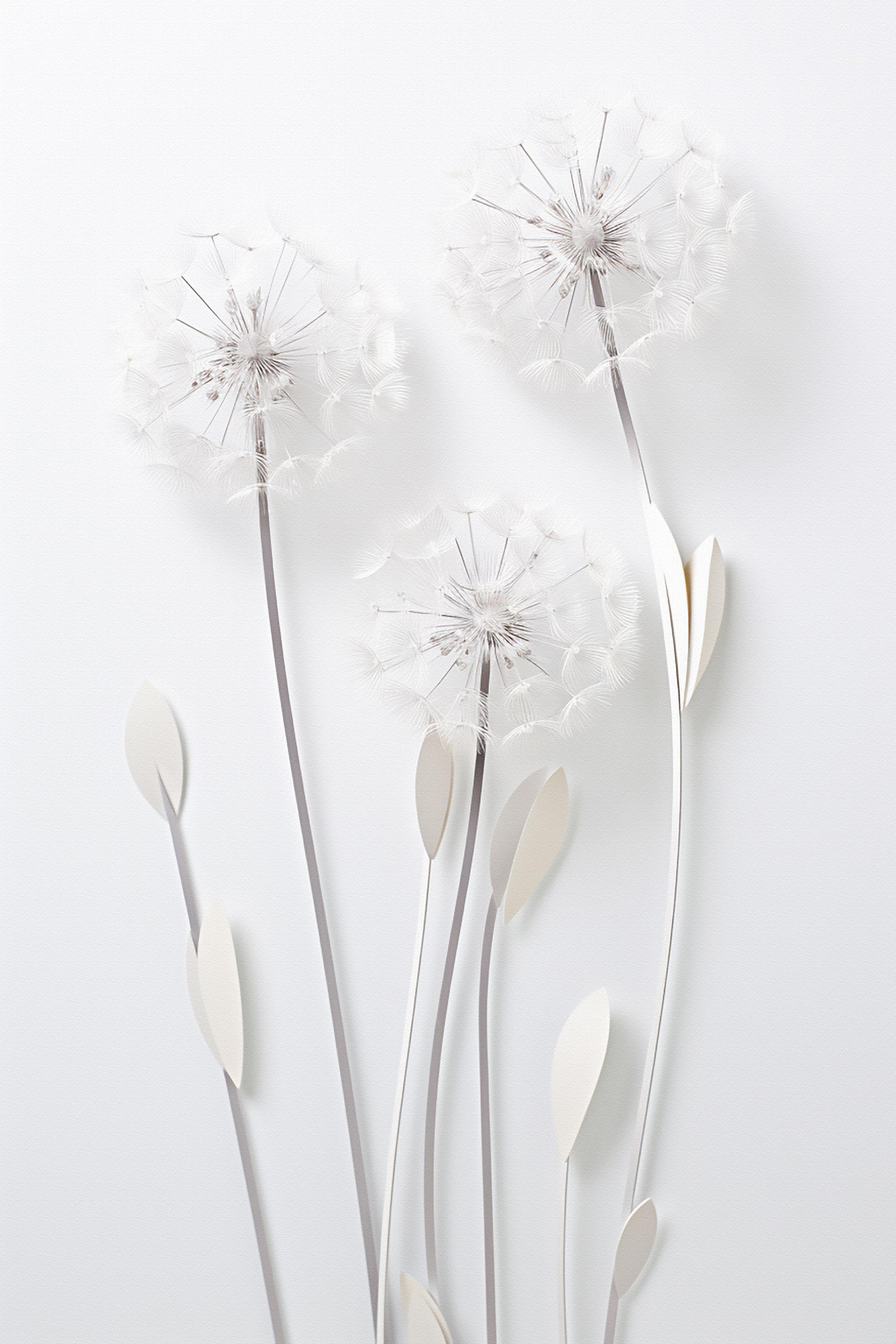 Delicate blooms on slender stems Delicate blooms on slender stems