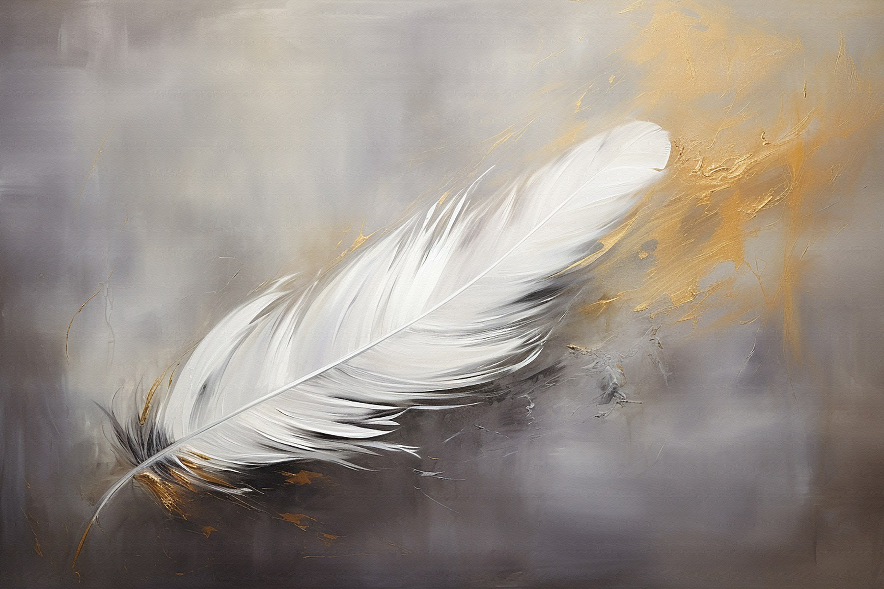 White feather on a grey background White feather on a grey background