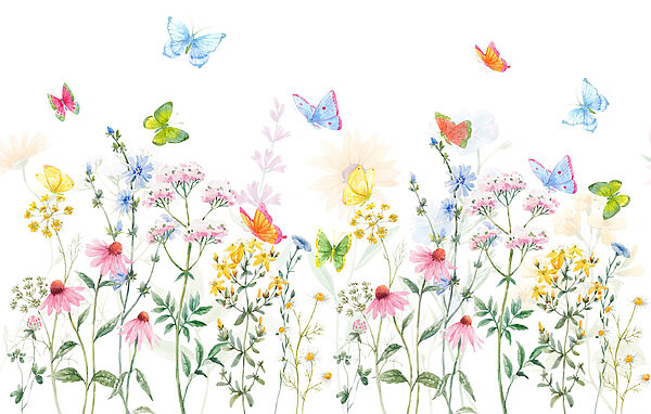 Painting of flowers and butterflies Painting of flowers and butterflies