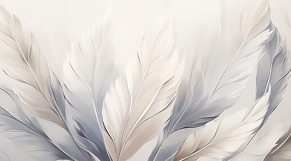 Group of white and grey feathers