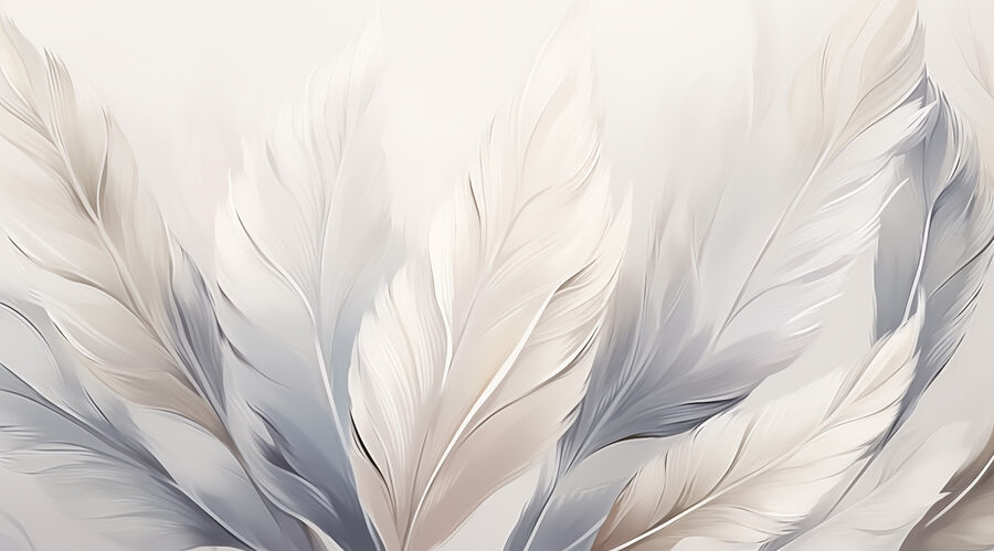 Fotomurales Grupo de plumas blancas y grises - Imagen 4