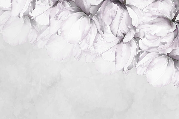 Soft petals against a muted background