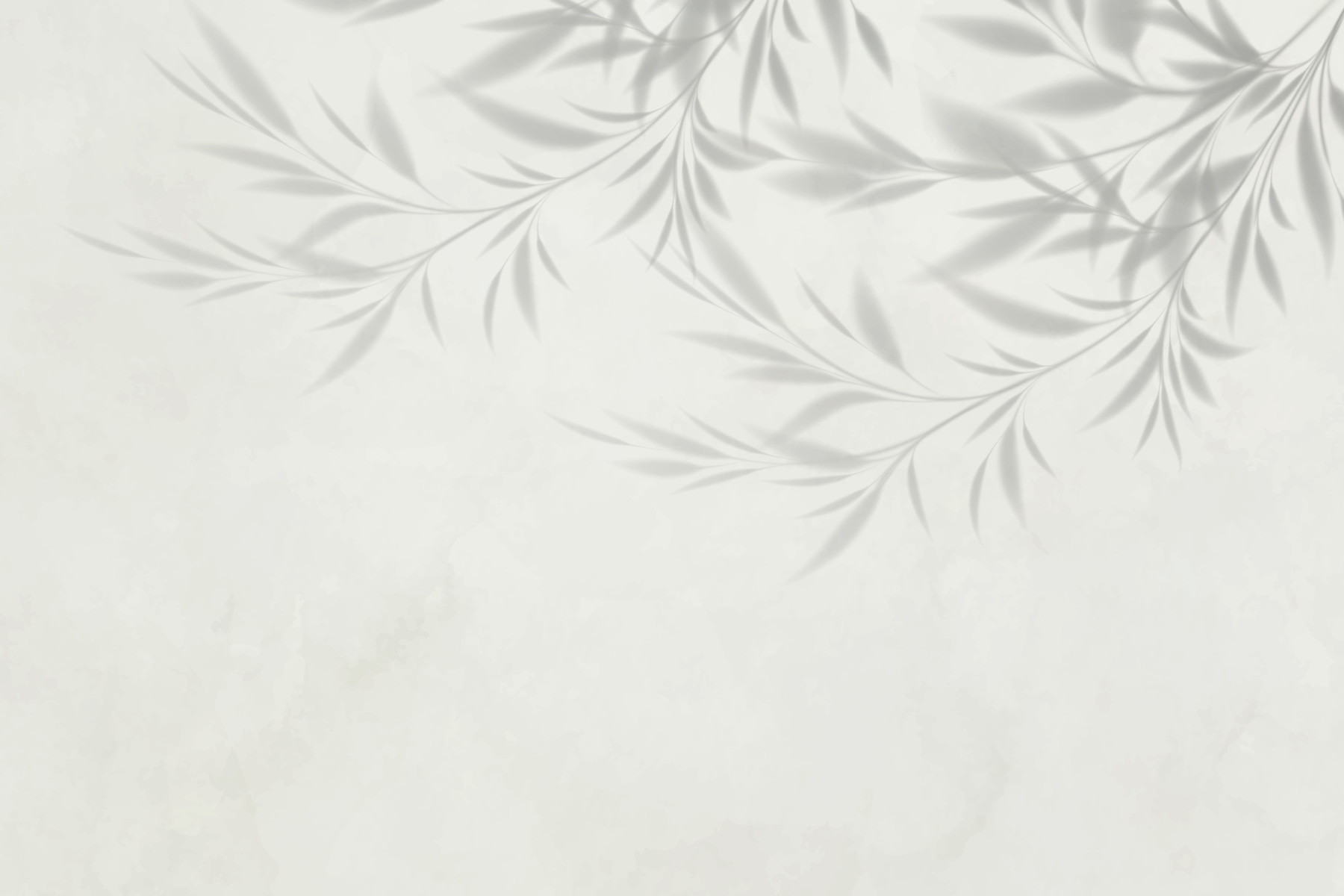 Shadow of leaves on a wall