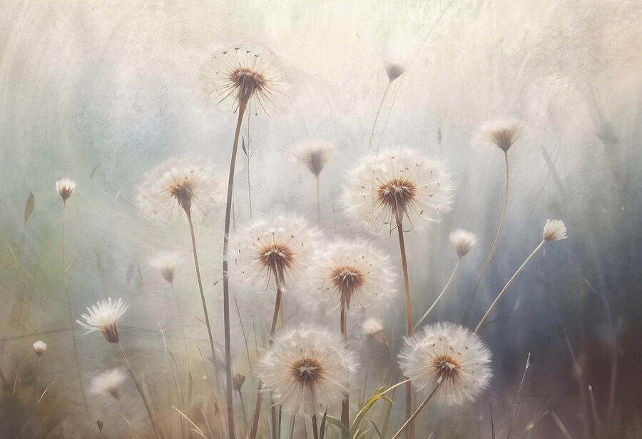 Susurros de la delicada belleza de la naturaleza