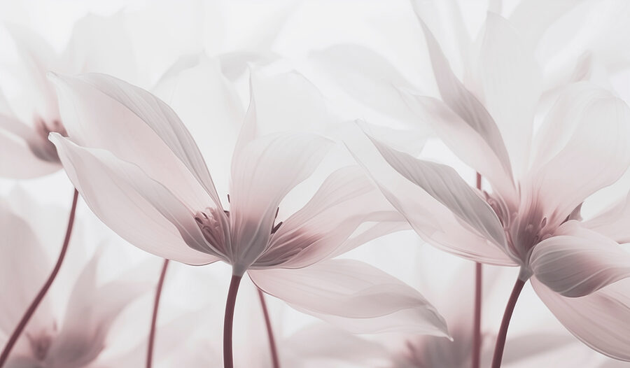 Fotomurales Flores delicadas en tonos suaves - Imagen 4