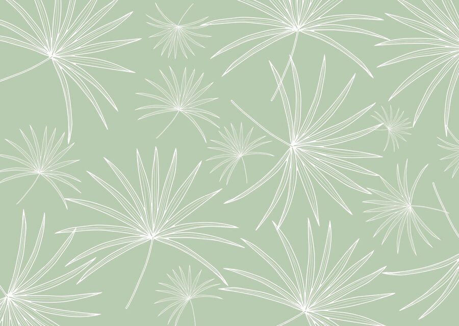 Patrón de hojas blancas sobre fondo verde